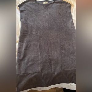 Aritzia/Wilfred dress